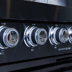 Castelle Flame Premium Black Stainless Steel 4-Burner Gas Grill (SAK48157)