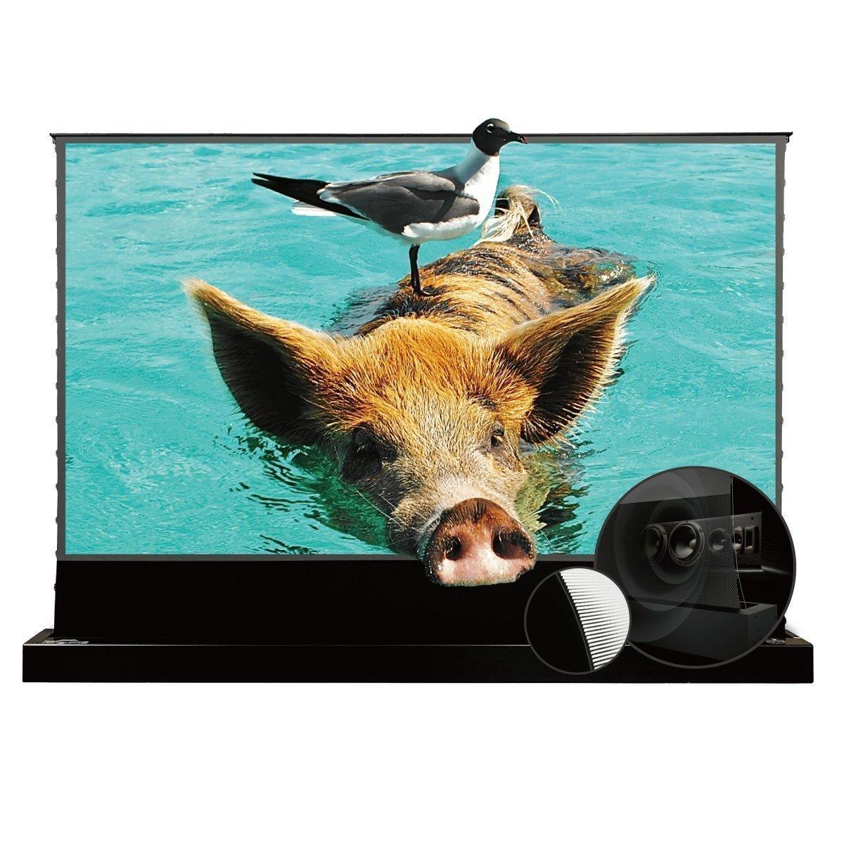 VIVIDSTORM S PRO P Motorized Tension Floor Rising UST ALR Perforated Projector screen