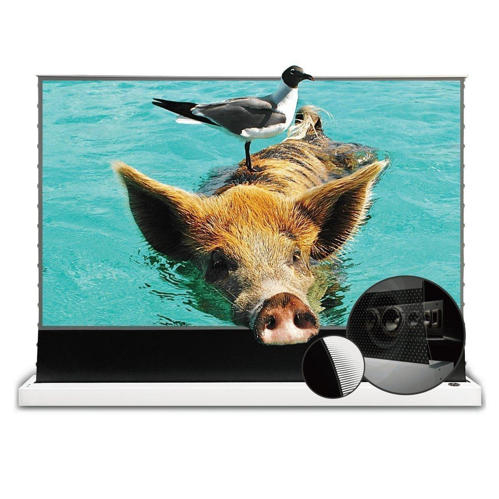 VIVIDSTORM S PRO P Motorized Tension Floor Rising UST ALR Perforated Projector screen