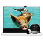 VIVIDSTORM S PRO P Motorized Tension Floor Rising UST ALR Perforated Projector screen